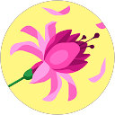 ilay şahin profile picture
